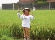Kementerian ATR/BPN Dorong Partisipasi Masyarakat untuk Pasang Patok Batas Tanah Melalui GEMAPATAS