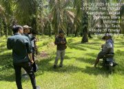 Kantor Pertanahan Kabupaten Langkat Tinjau Lapang Kegiatan Pertimbangan Teknis Pertanahan Dalam Rangka PKKPR Berusaha PT Karya Sejati Utama di Sawit Seberang,