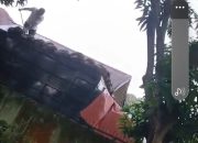 Gudang Liar Pengumpul TBS Yang Diduga Milik PTPN Punya Beking Kuat, Keberatan Warga Tak Digubris.