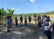 Kantor Pertanahan Kabupaten Langkat Gelar Pemeriksaan Tanah Perkara Di Desa Dalam Naman